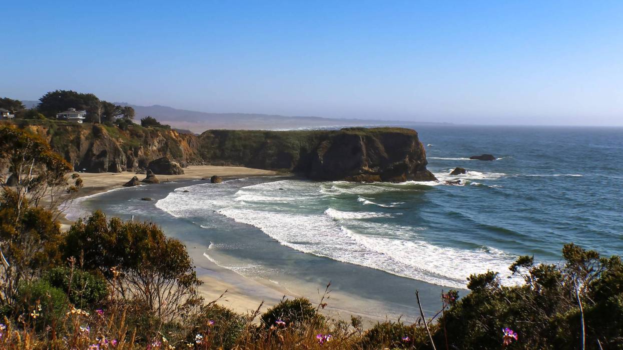 The tide rolls in to the shore around a bay and headland south of Mendicino California with defocused purple flowers in the foreground and misty shore and horizon stretching out behind.