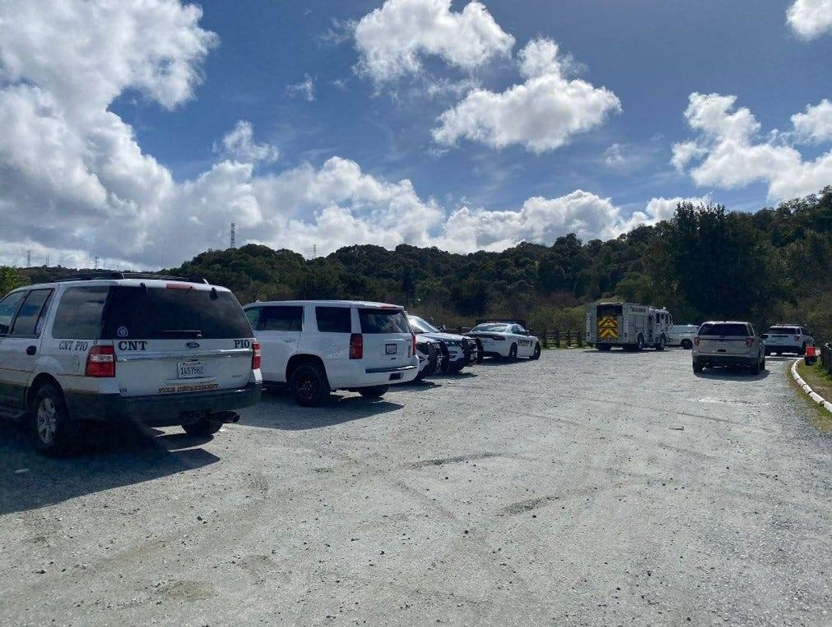 The tree fell across the trail while the troop was on a hike on Sunday.