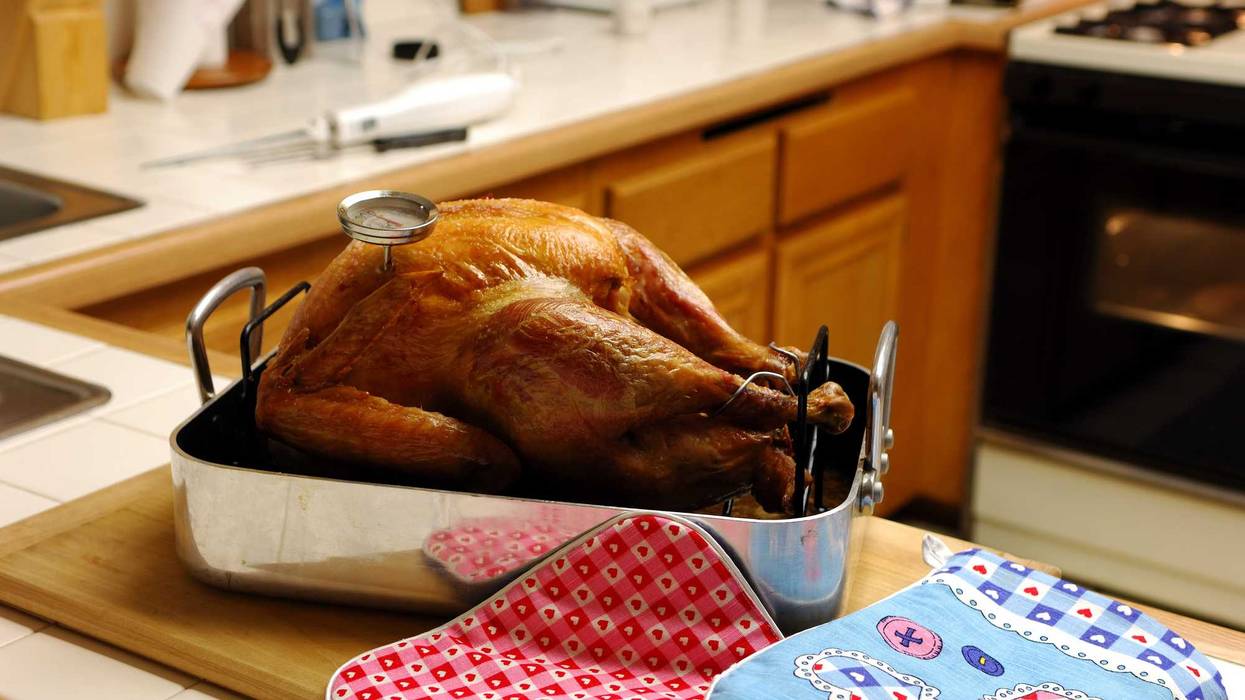 The Twin Cities Turkey Hotline will go live for a second year in a row, with experts ready to tackle all your holiday cooking questions.