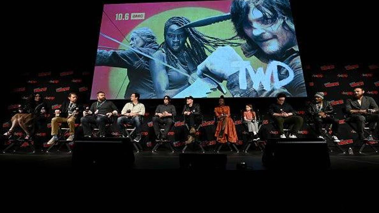 The Walking Dead panel