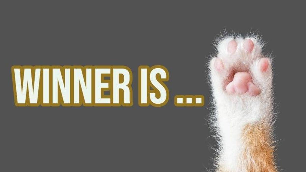 TheKoRp / Getty Images