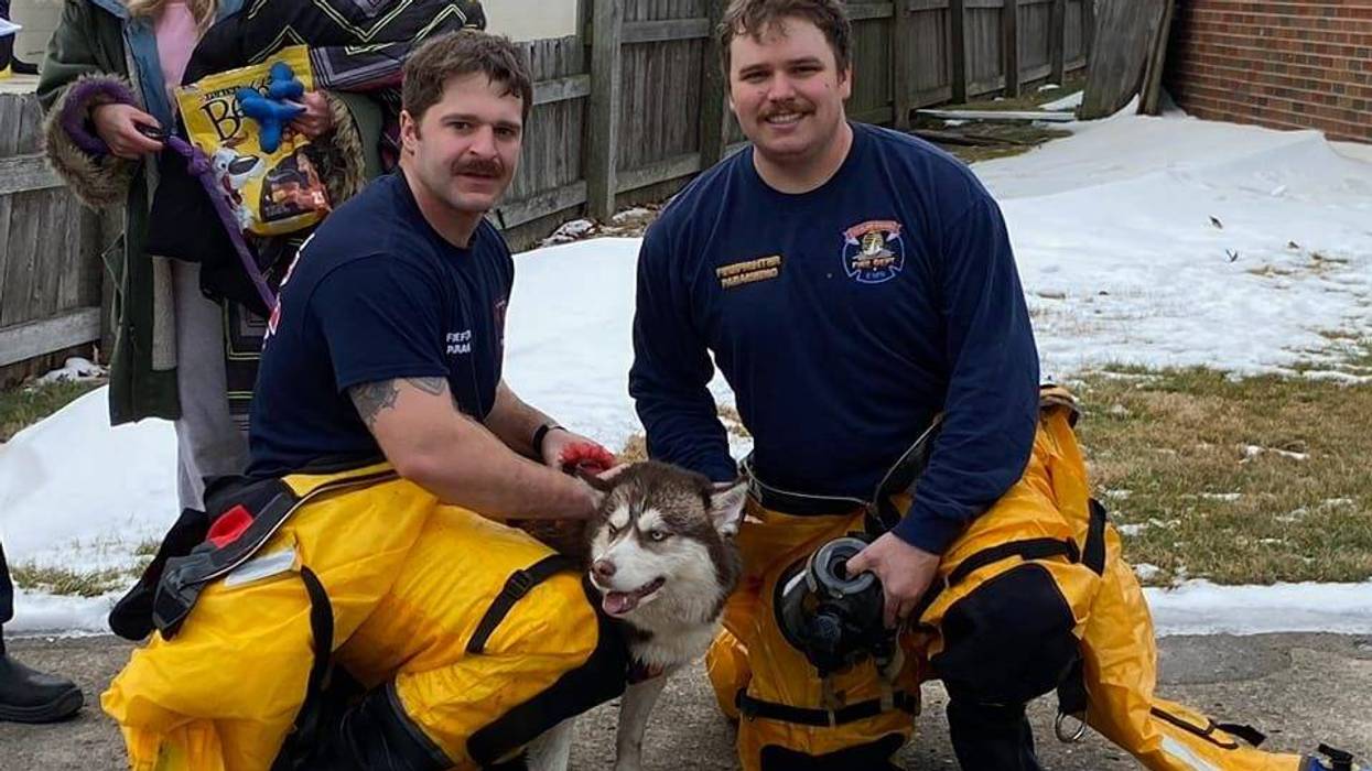 There is no rescue too big or too small for authorities in St. Clair Shores -- not even if the call for help involves a furry, four-legged victim who managed to get stuck in a sewer.
