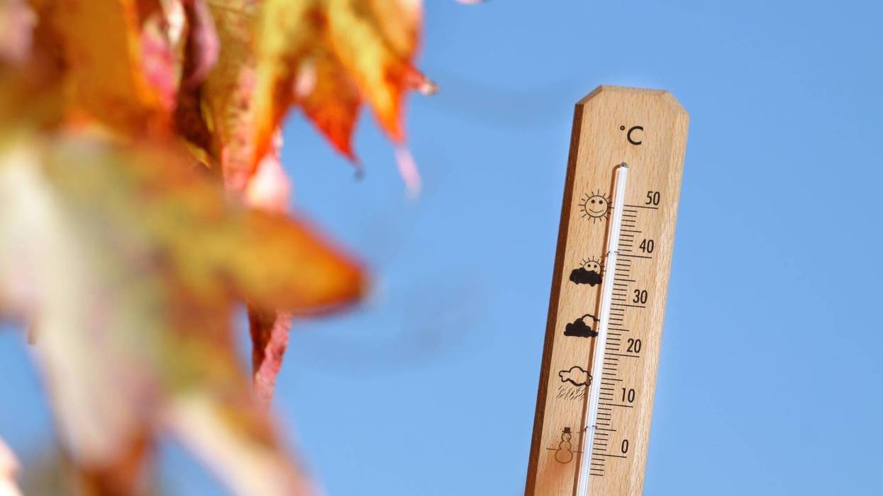 Thermometer and fall leaves