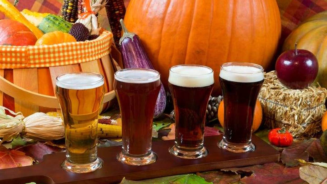 Things To Do Around DFW: November 11-14