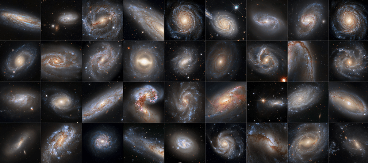 This collection of 36 images from NASA's Hubble Space Telescope features galaxies that are all hosts to both Cepheid variables and supernovae.