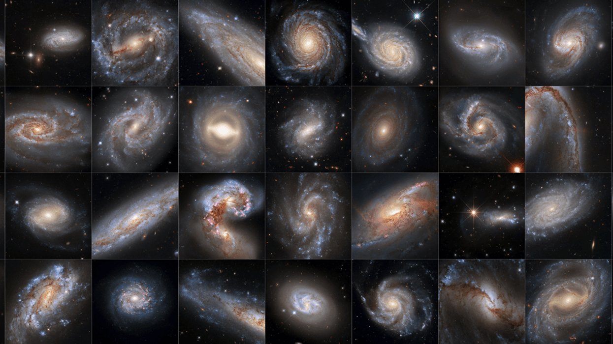 This collection of 36 images from NASA's Hubble Space Telescope features galaxies that are all hosts to both Cepheid variables and supernovae.
