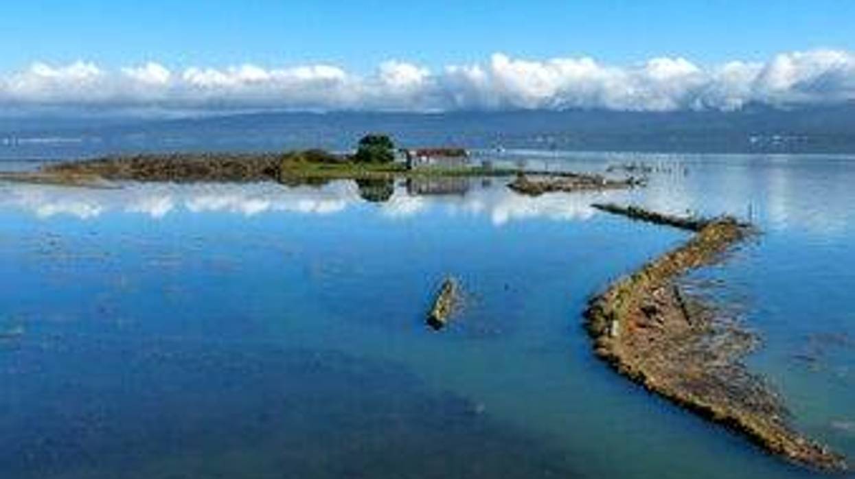 This Dec. 21, 2010 photo provided by Aldaron Laird shows Tulawat, the site of the Indian Island Massacre, where members of the Wiyot Tribe were killed in 1860. The remains of 20 Native Americans massacred in the 1860s on the Northern California island have been returned to their tribe from a museum where they had been in storage. The tribe's historic preservation officer says the remains will be reunited with their families.