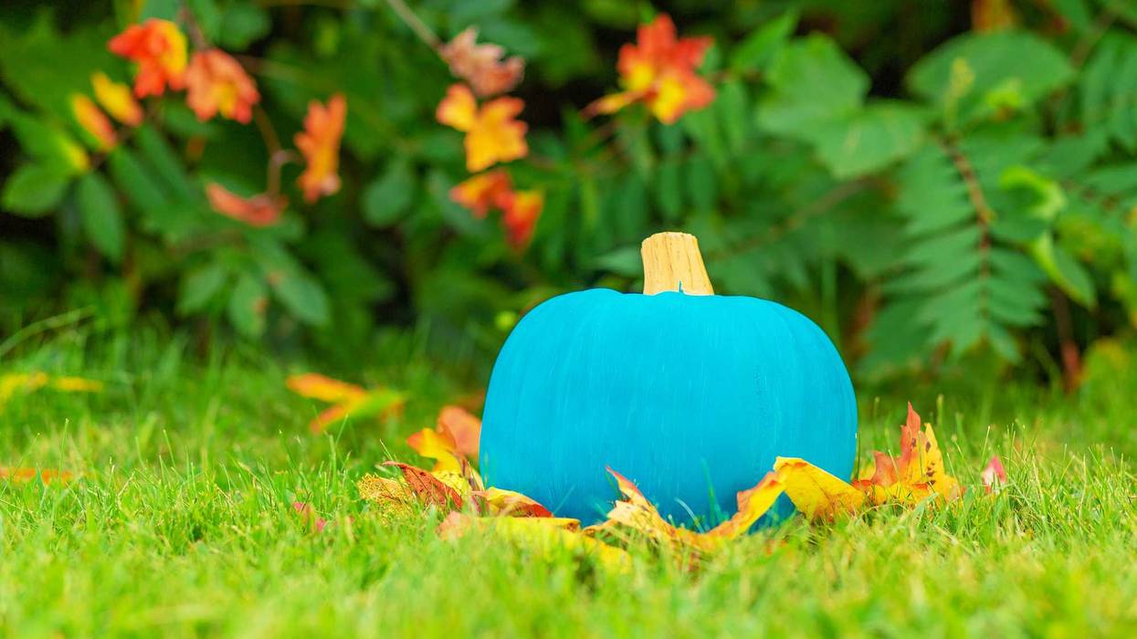 This Halloween, you may see some houses with teal-colored pumpkins and they aren’t just festive decorations - they are there to alert you about kids with allergies.