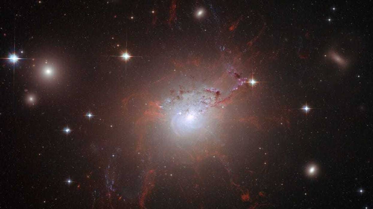 This handout image of the giant, active galaxy NGC 1275, obtained August 21, 2008 was taken using the NASA/ESA Hubble Space Telescope?s Advanced Camera for Surveys in July and August 2006.