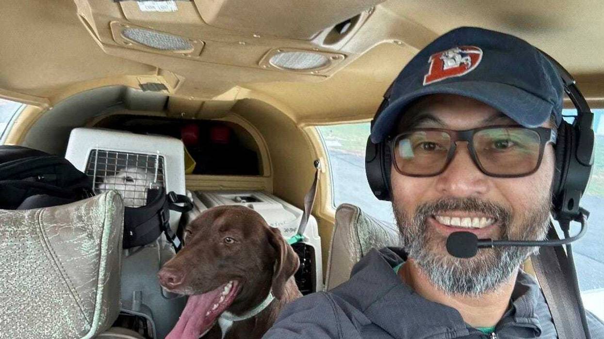 This photo released by The Animal Shelter of Schoharie Valley shows Seuk Kim during a flight to deliver dogs rescued from a euthanasia list to the Animal Shelter of Schoharie County on Nov. 11, 2024