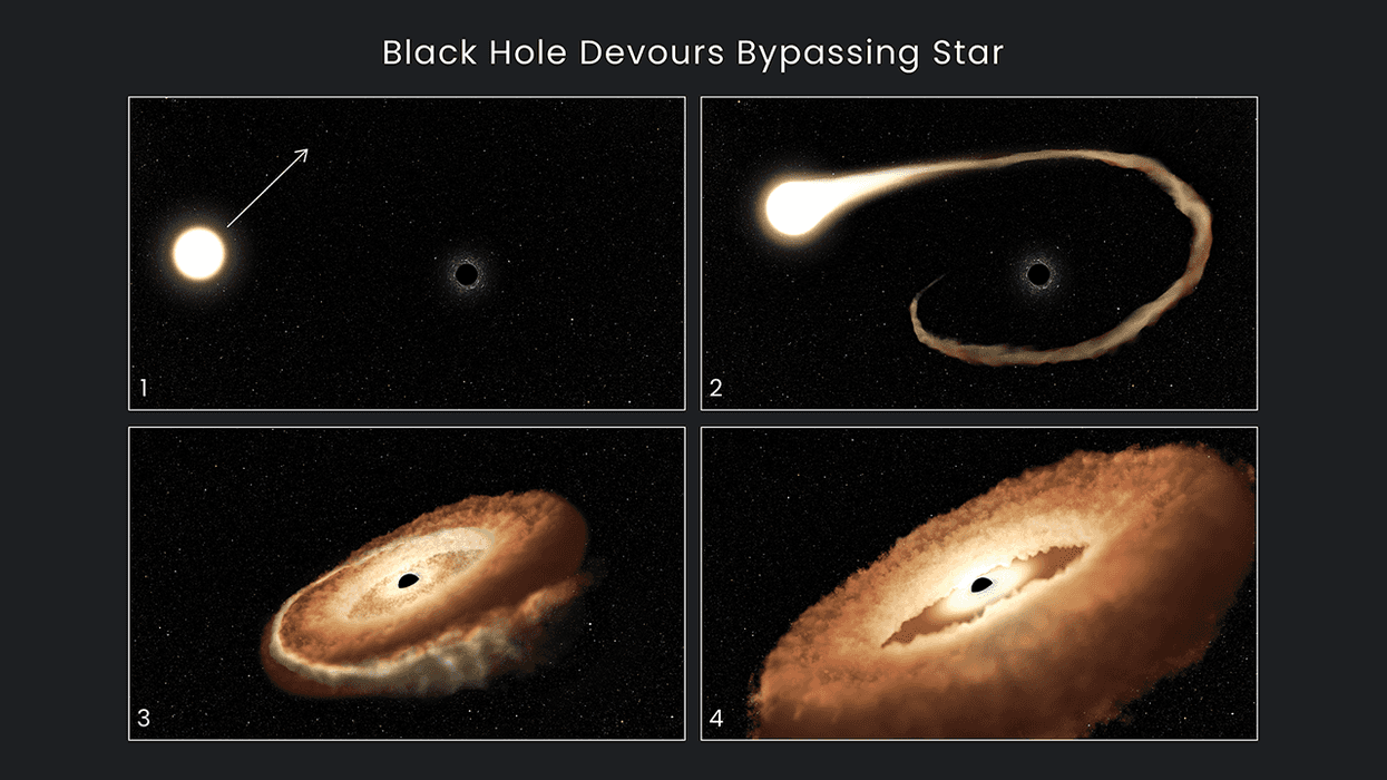 This sequence of artist's illustrations shows how a black hole can devour a bypassing star.