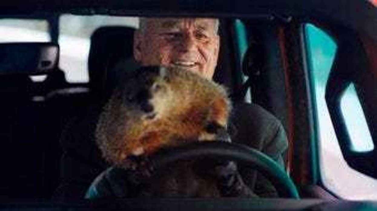 This undated image provided by Jeep shows Bill Murray reprises his role as Phil Connors from the 1993 film “Groundhog Day,” in a scene from the company's 2020 Super Bowl NFL football spot. (Jeep via AP)