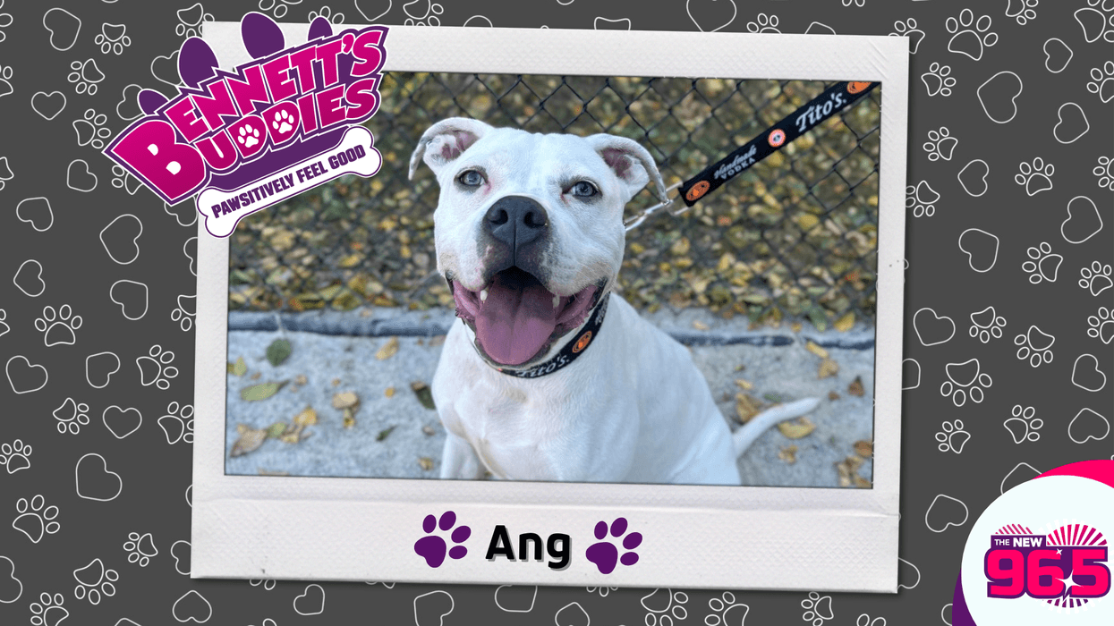This Week on Bennett's Buddies with the PSPCA, Meet Ang!