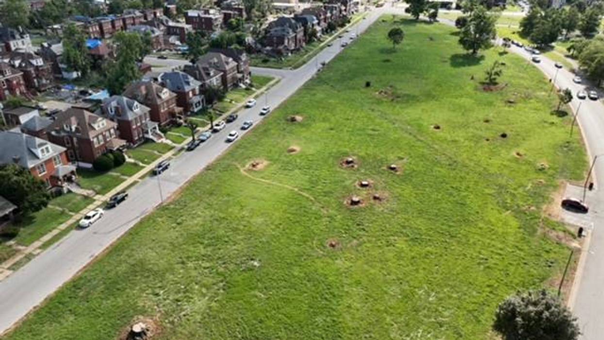 Massive volunteer effort Saturday to replenish tree canopy in O'Fallon Park