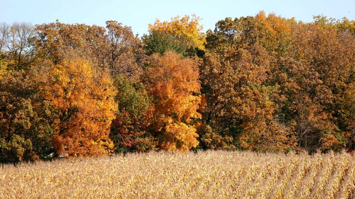 Thursday's update from the U.S. Drought Monitor shows most of Minnesota is in moderate to severe drought again.