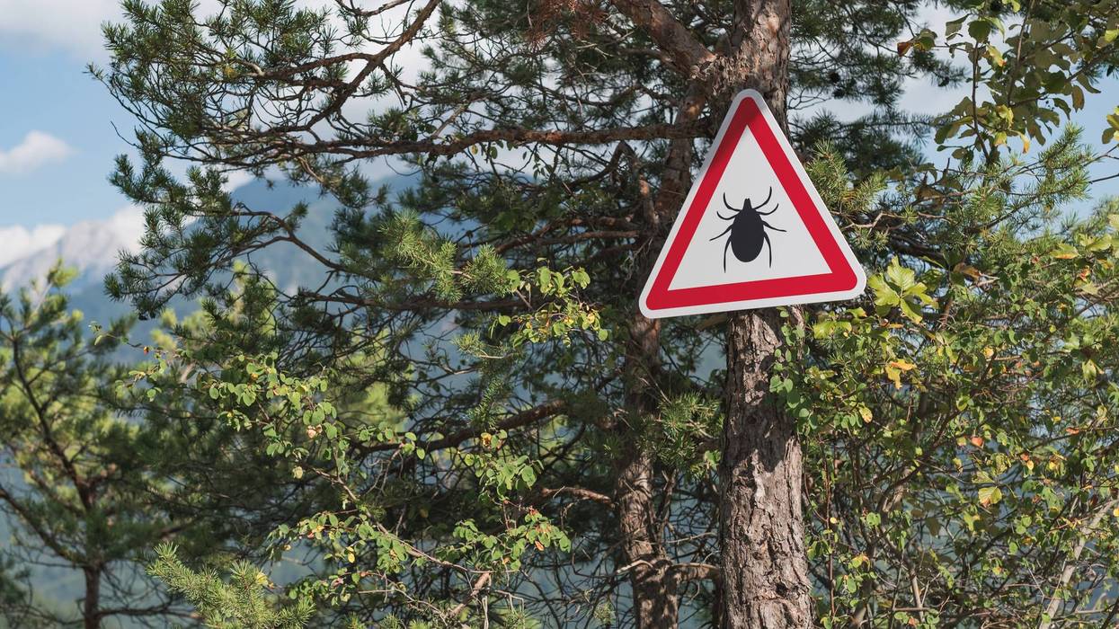 Tick season is here and shaping up to be one of the worst in a decade