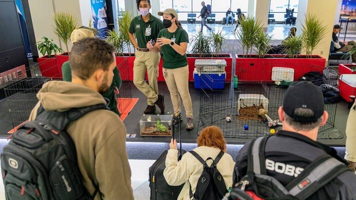 ticketed airline passengers at the Philadelphia International Airport zoo