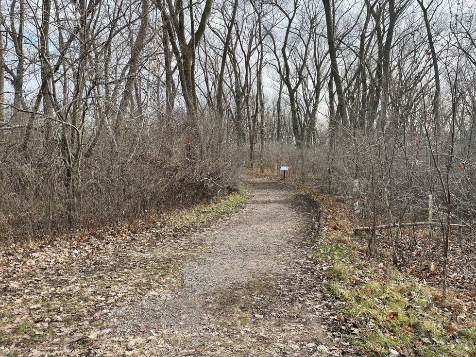 Tifft Nature Preserve trail