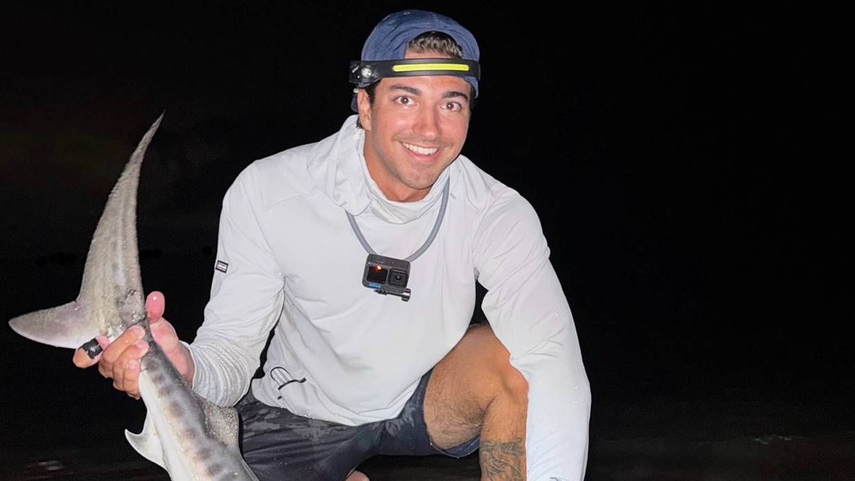 Tiger Shark Massachusetts