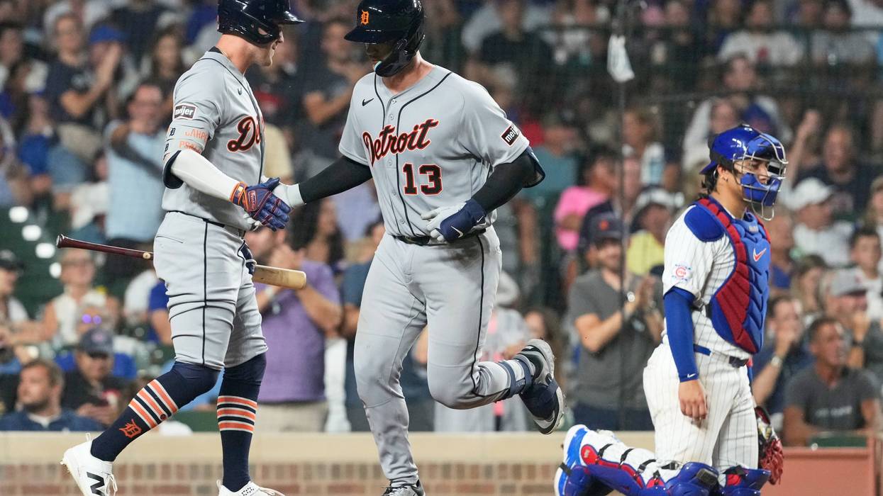 TIGRES-CACHORROS 3439