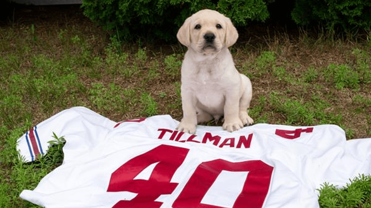 Pat Tillman Foundation partners with America's VetDogs