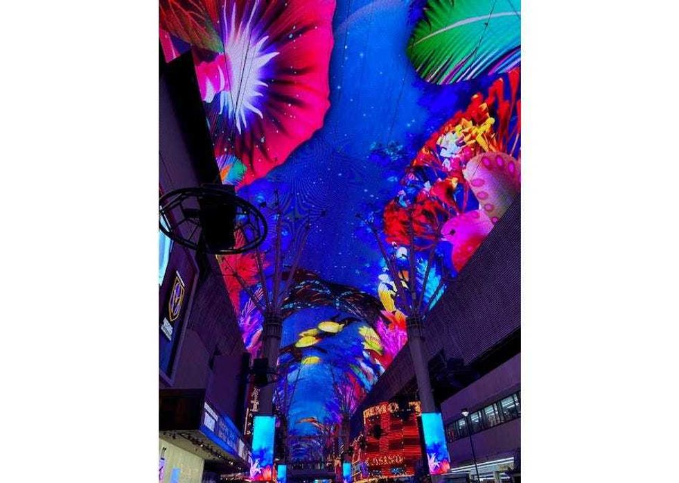 Tim Richards Vegas 2020