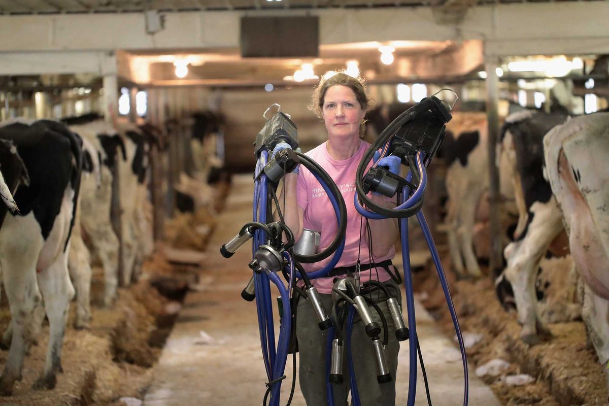 Tina Hinchley milks cows on the family farm she shares with her husband Duane near Cambridge, Wisconsin. President Donald Trump's decision to put tariffs on major U.S. trade partners Canada, Mexico and China could have a major impact on prices for U.S. farmers.