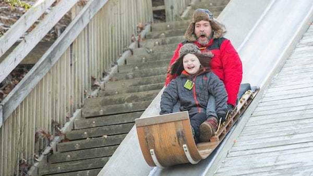 Toboggan Season