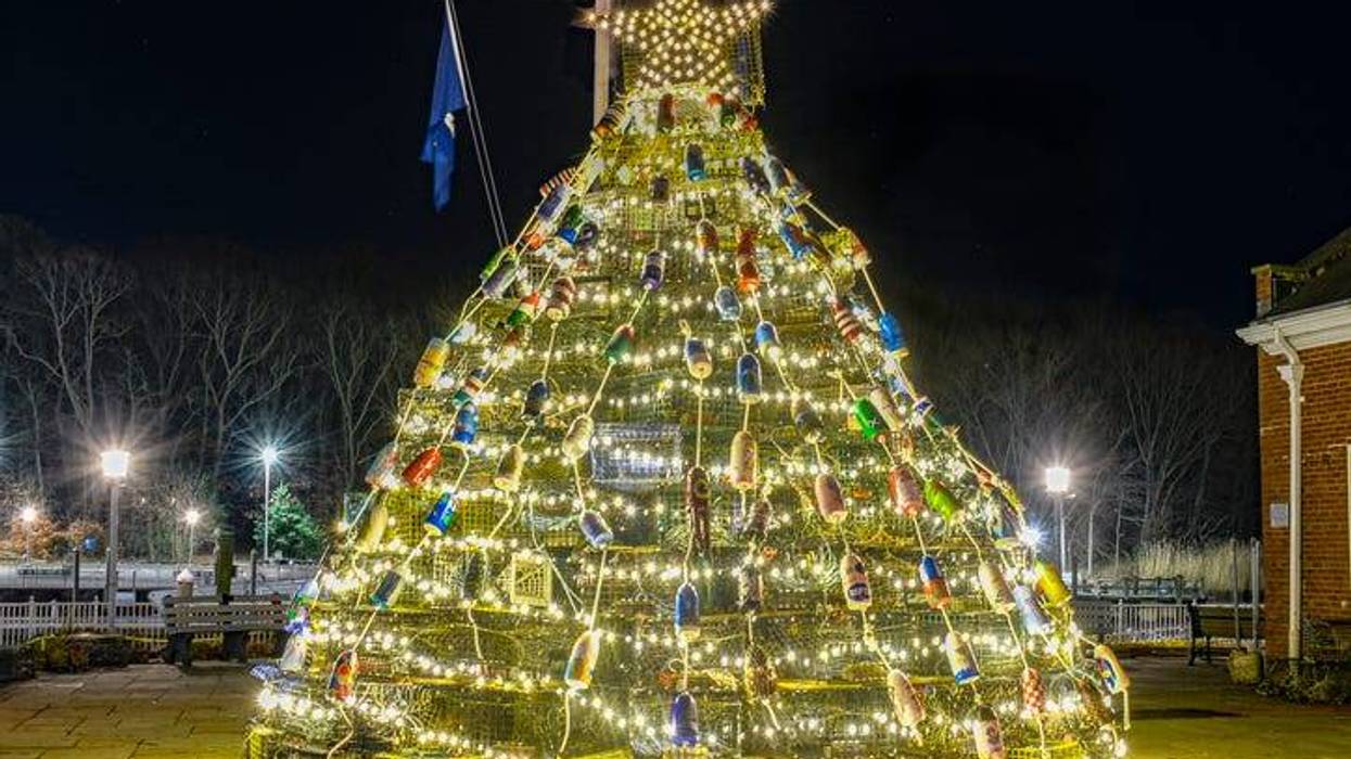 Tobster Trap Christmas Tree