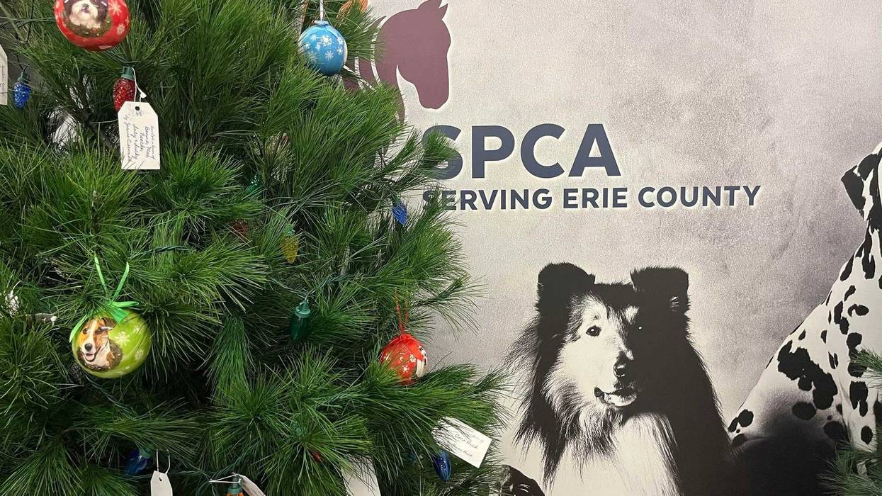 Today marks the 20th SPCA Radiothon on WBEN, as we along with our fellow Audacy stations team up to help raise funds for the SPCA Serving Erie County. 2023 will mean a new focus for the SPCA.