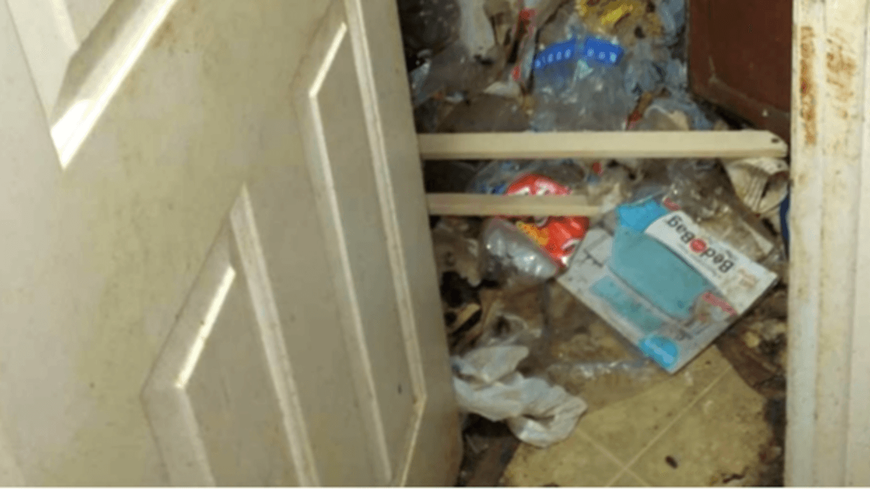 Toilet in squalor