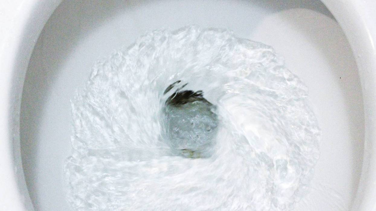 toilet