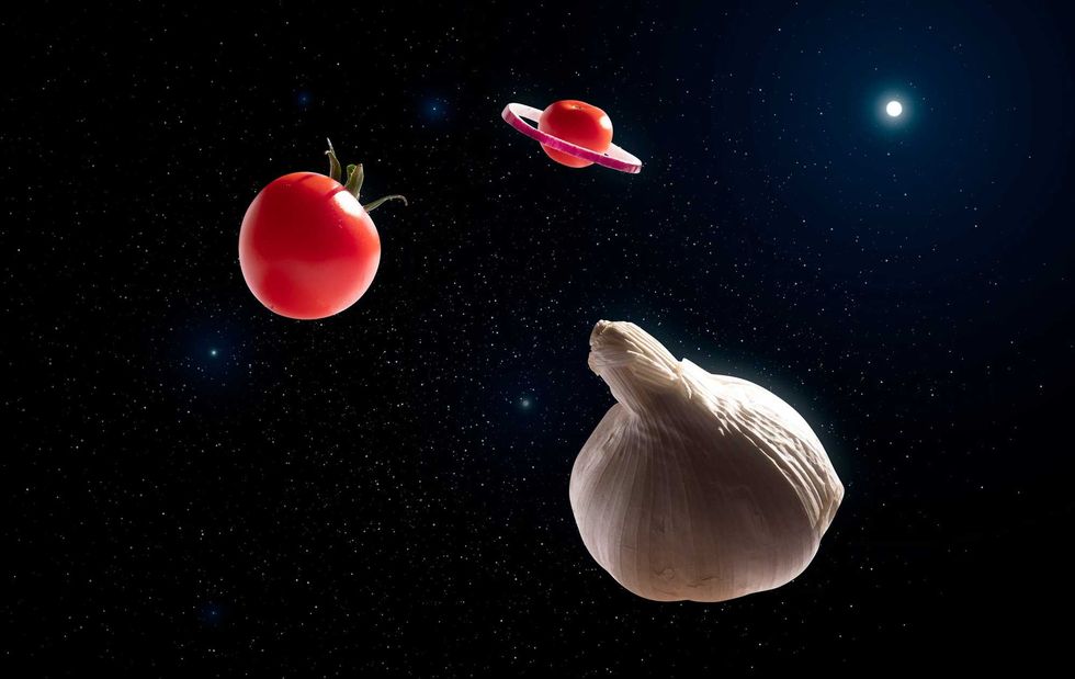 How astronauts plan to grow space tomatoes