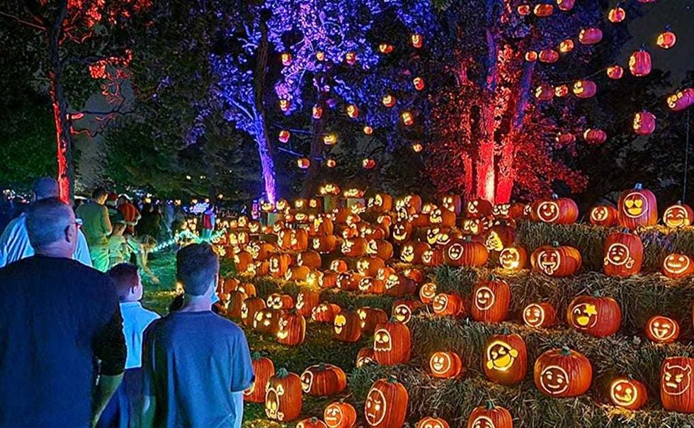Tons of carved pumpkins