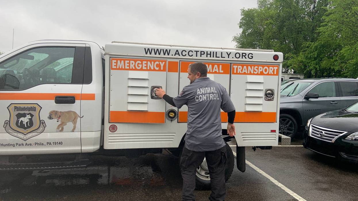 Tony Ikonen and the ACCT Philly team have experience with all manner of creature.