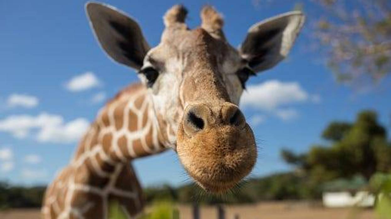 Topeka Zoo