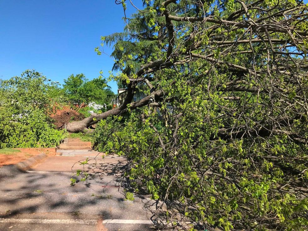 Tornado Hits Greenville