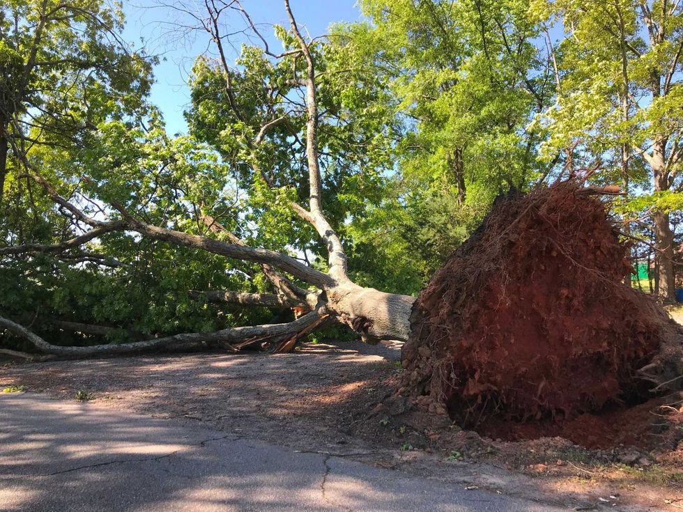 Tornado in Greenville