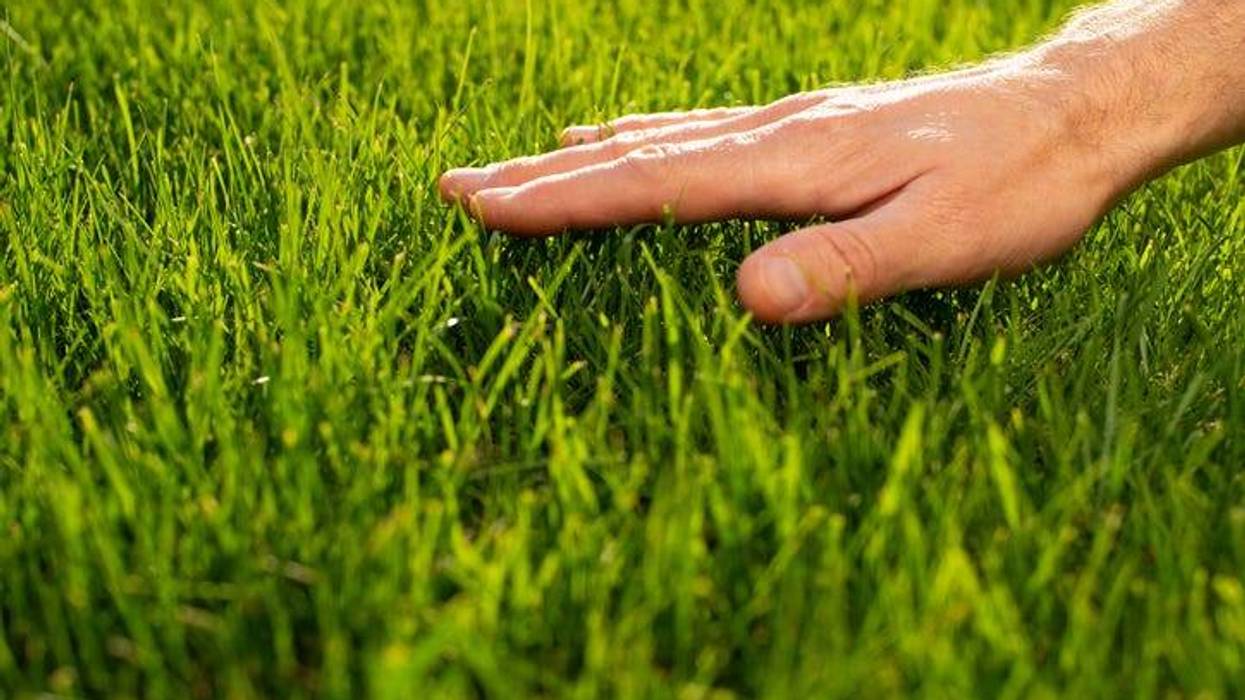 Touch grass