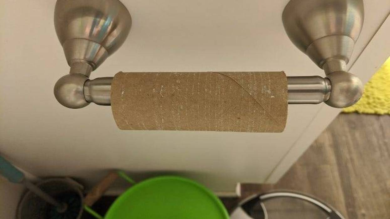TP cardboard roll