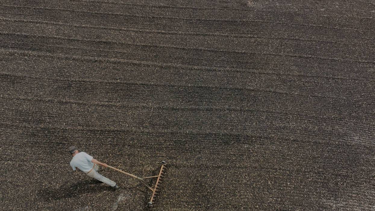 Trade Brazil Tariffs 9