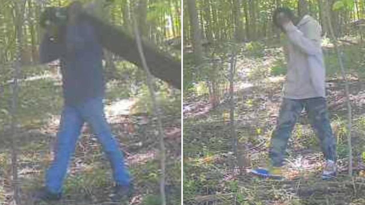 Trail camera images show suspects the robbery of a deer blind.