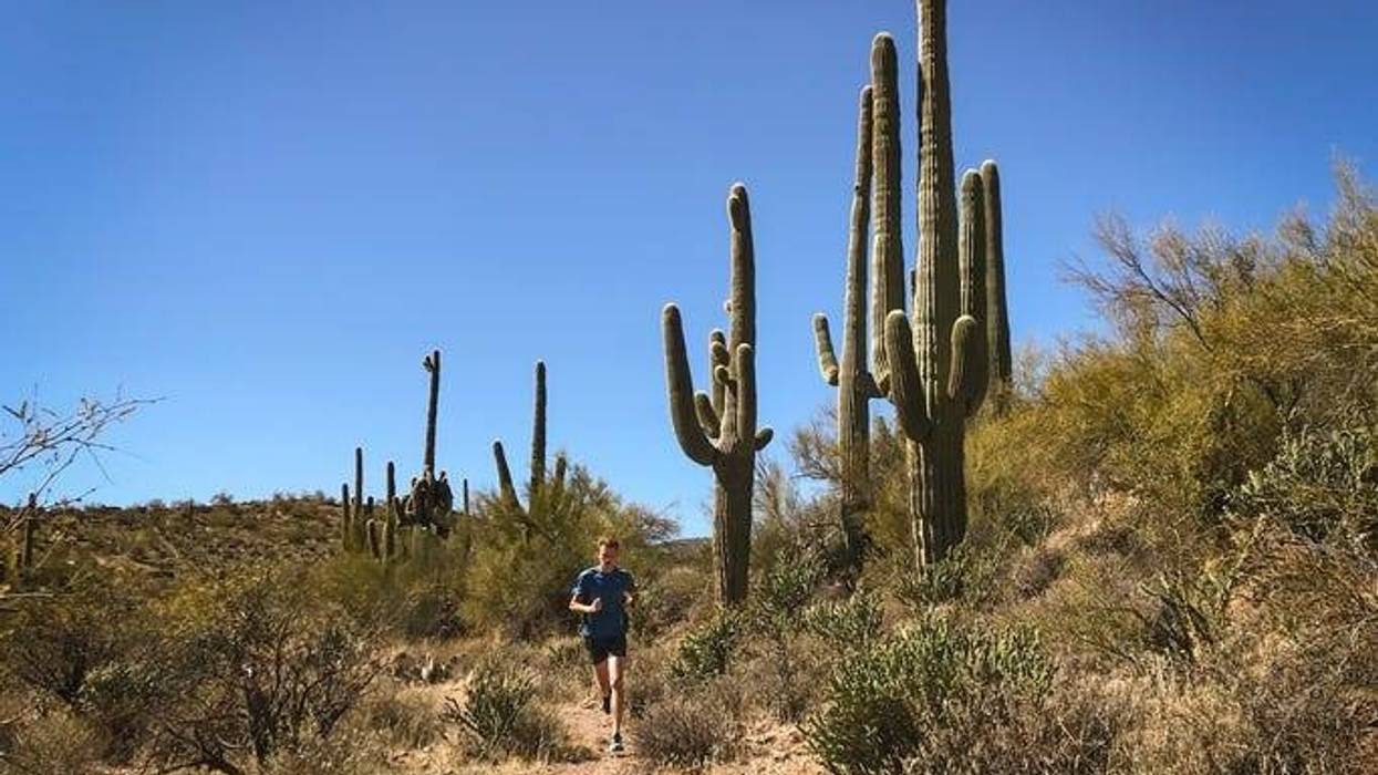 trail run through saguaro cacti near Phoenix