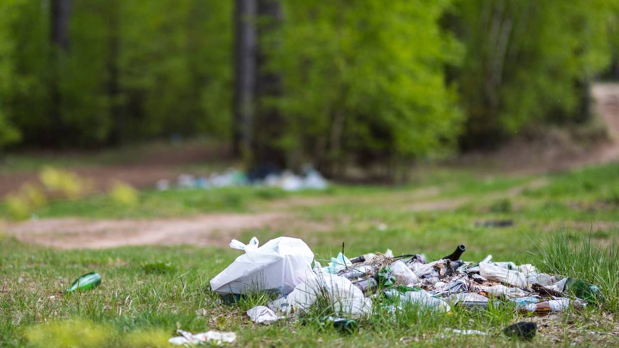 Trash at park
