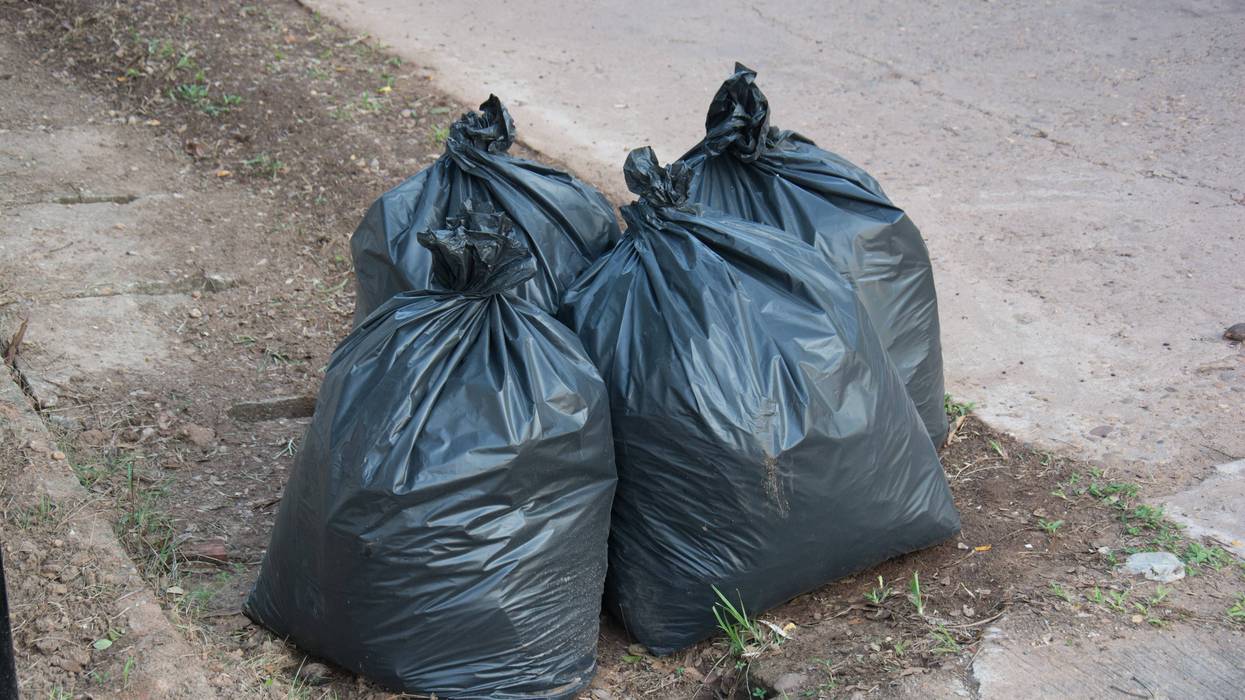 trash bags on curb
