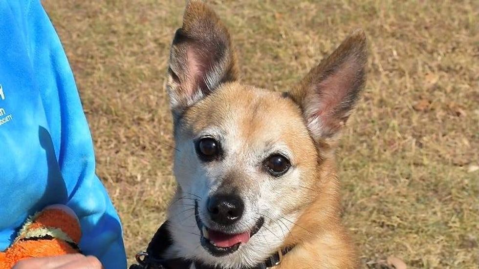 Travis @ Austin Humane Society 11/ 6/ 24