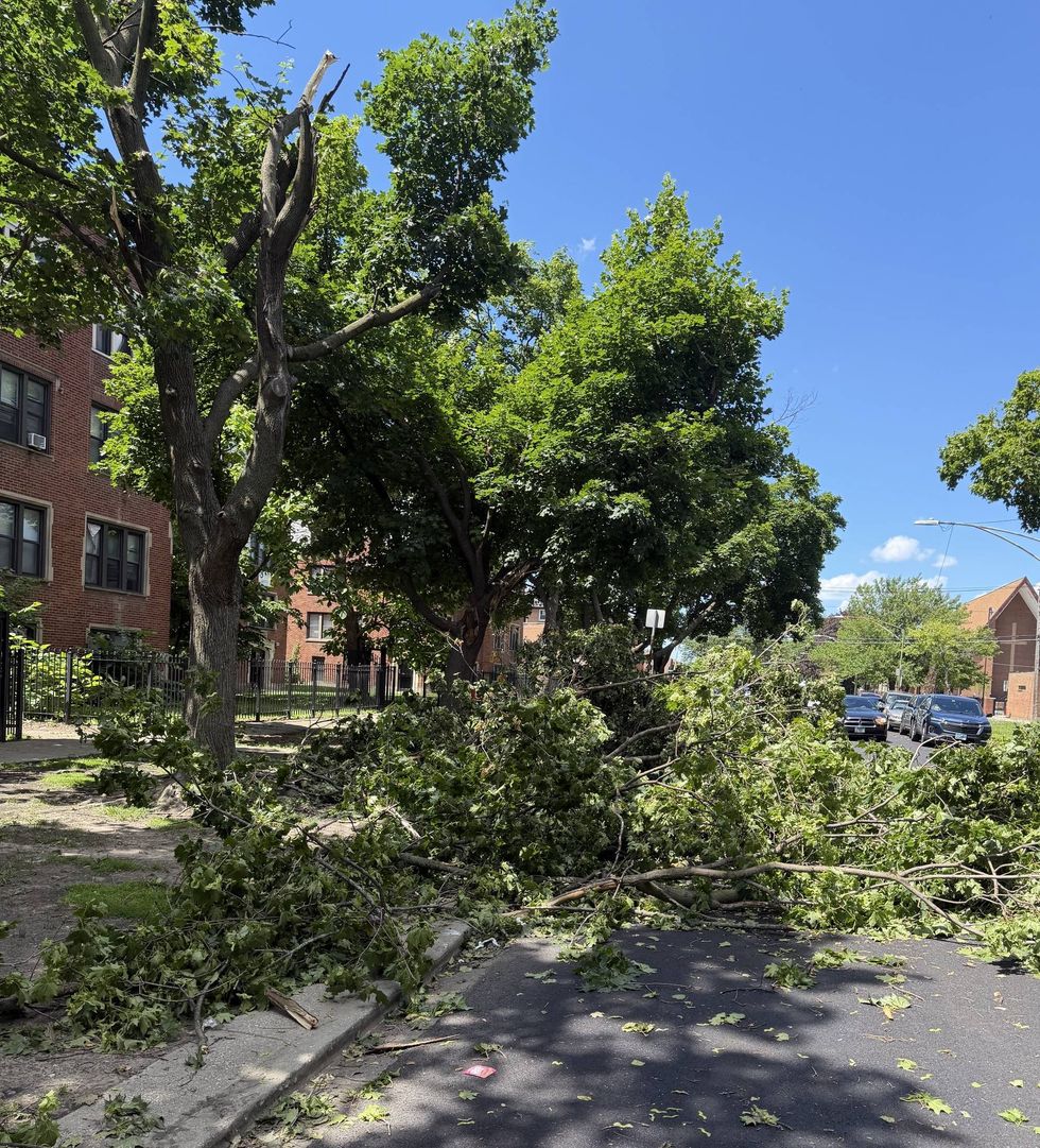 Tree branches lay in the street on Wabash Avenue in Chicago's Chatham neighborhood. City leaders say more than 400 streets are blocked with debris from this week's storms.
