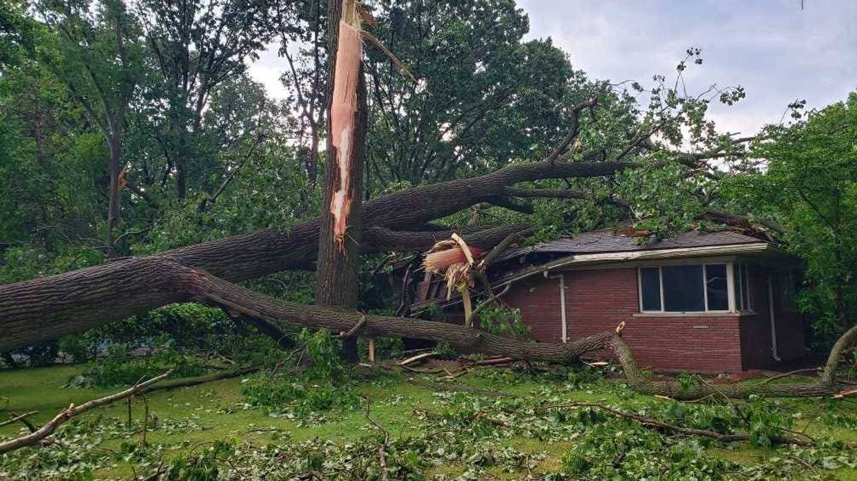 Tree damage near Southfield/Beverly Hills border