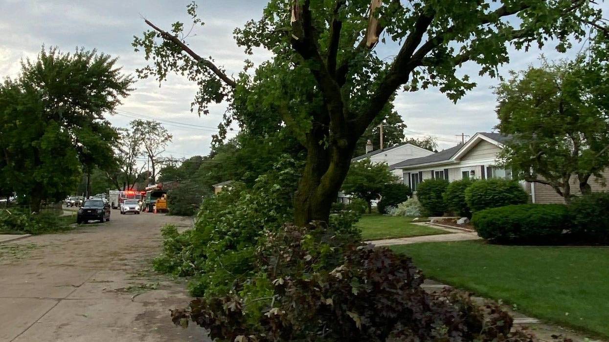 Tree damage on Hix in Livonia