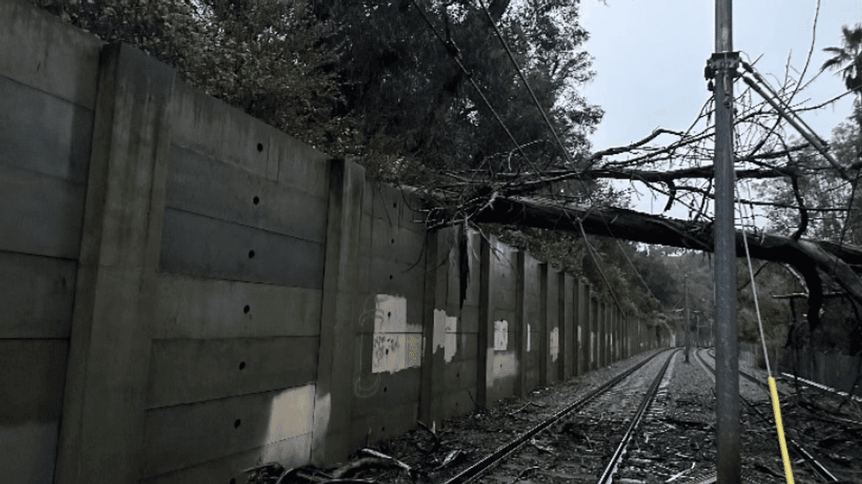 Tree down above tracks